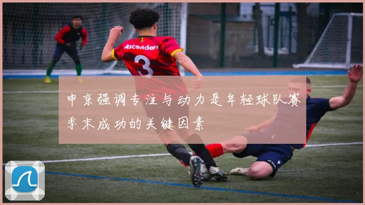 申京强调专注与动力是年轻球队赛季末成功的关键因素