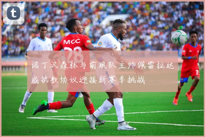 诺丁汉森林与前狼队主帅佩雷拉达成执教协议迎接新赛季挑战